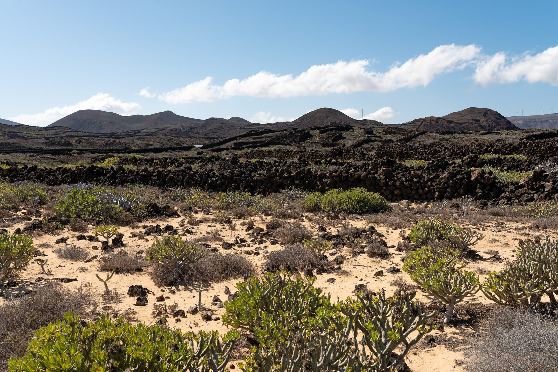 009_Villas Pejeverde y Gallo