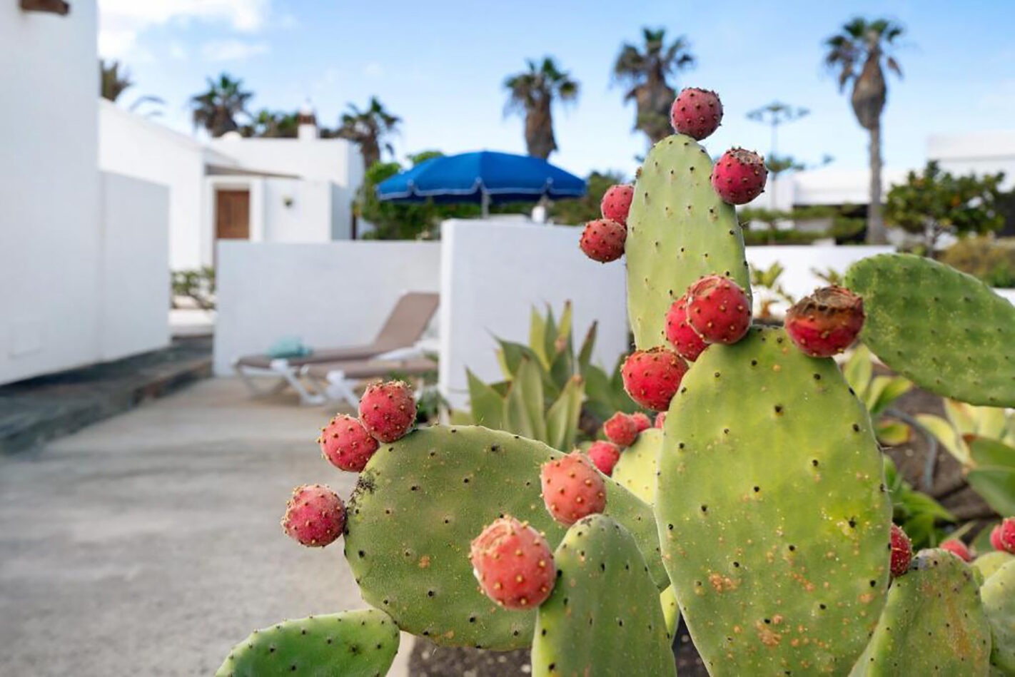 Casa Aloe 20A
