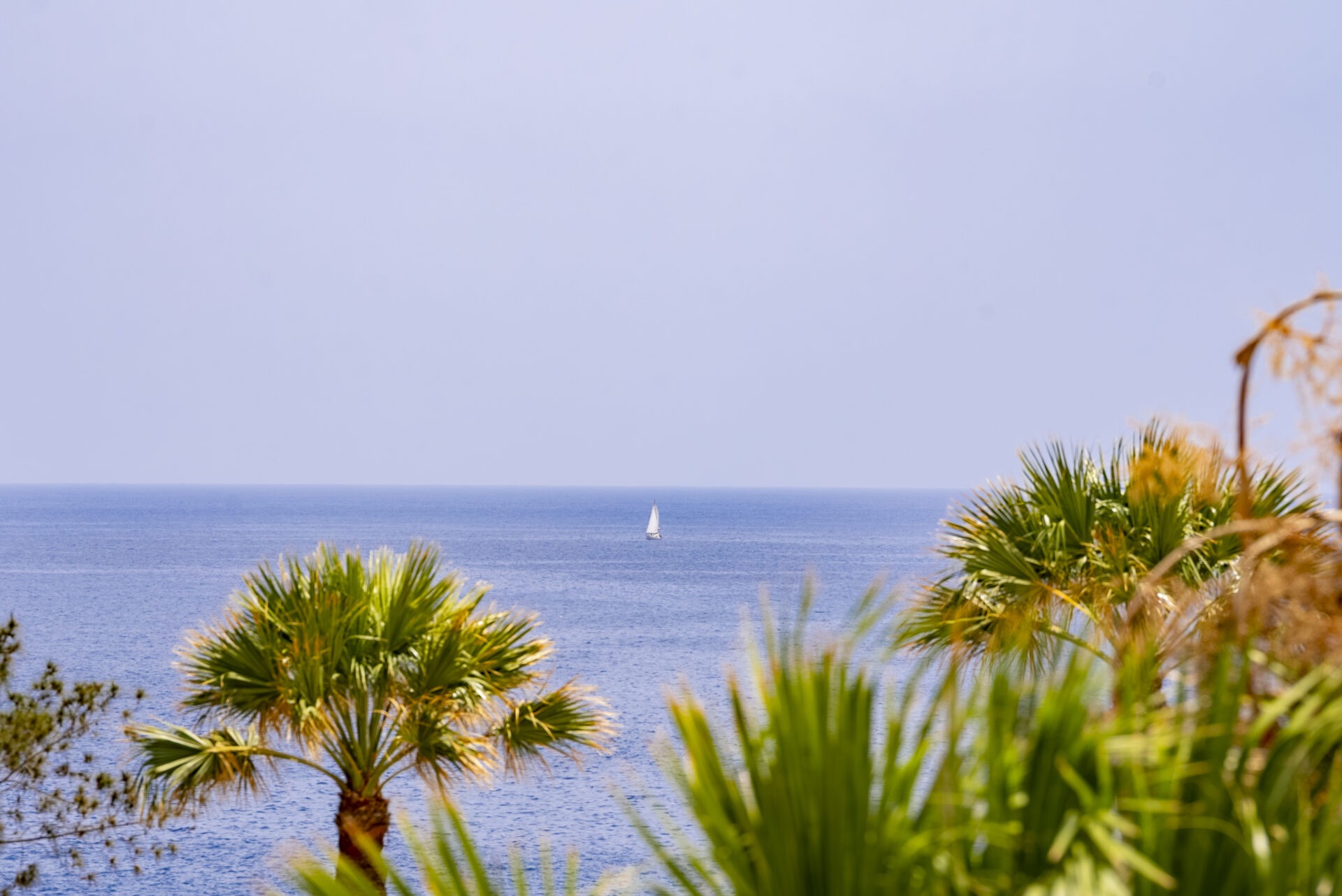 DSC09369